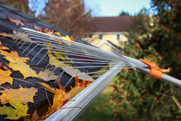 Why You Should Clear Leaves From Your Roof Before Winter