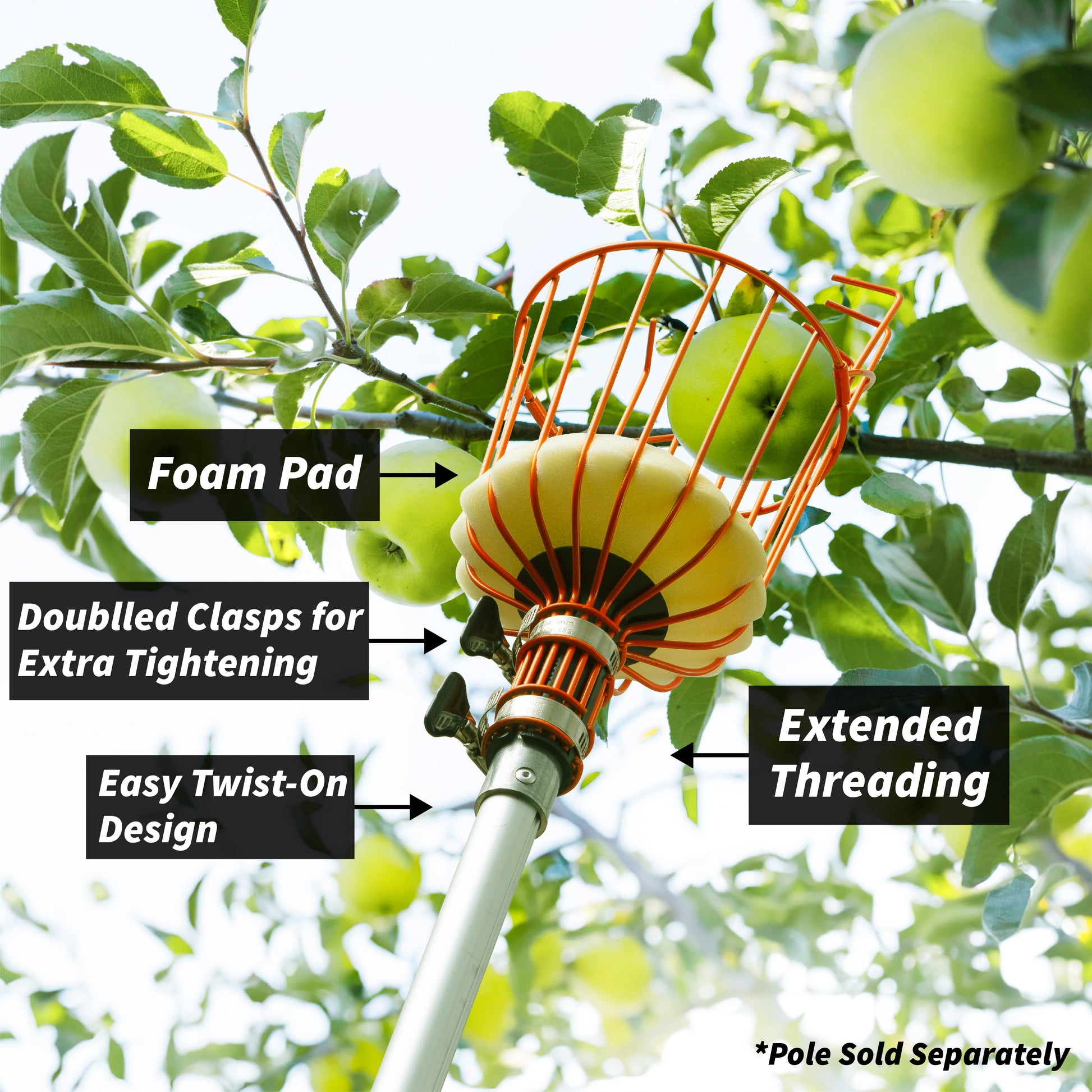 Close-up of Extend-A-Reach telescopic apple picker pole harvesting green apples, featuring a sturdy metal basket with foam pad, double lock for extra tightening, and extended threading for secure attachment. Text on image highlights: ‘Fruit Picker Basket,’ ‘Foam Pad,’ ‘Double Lock for Extra Tightening,’ and ‘Extended Threading
