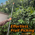 A person uses a long-reach Extend-A-Reach telescoping fruit picker pole to harvest fruit from a tall, leafy tree. The orange fruit picker basket with foam padding is extended high into dense branches. Text overlay reads “Effortless Fruit Picking” with a note that the pole is sold separately