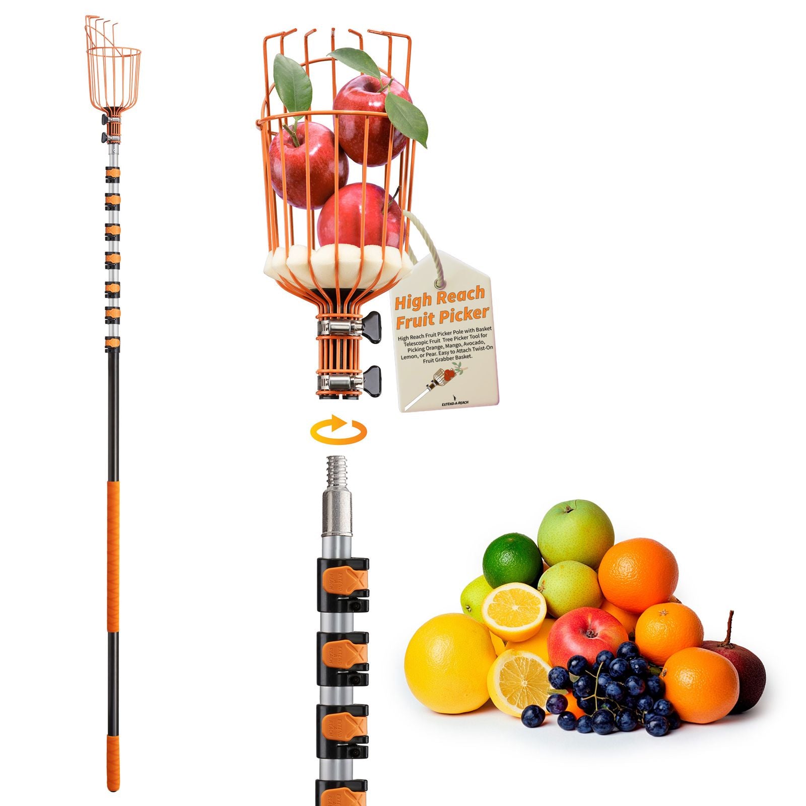 Extend-A-Reach 30 ft telescopic fruit picker pole with detachable basket attachment holding apples, featuring adjustable orange grip locks and shown alongside assorted fruits including apples, oranges, lemon, grapes, and pear. Tag on basket reads: ‘High Reach Fruit Picker.