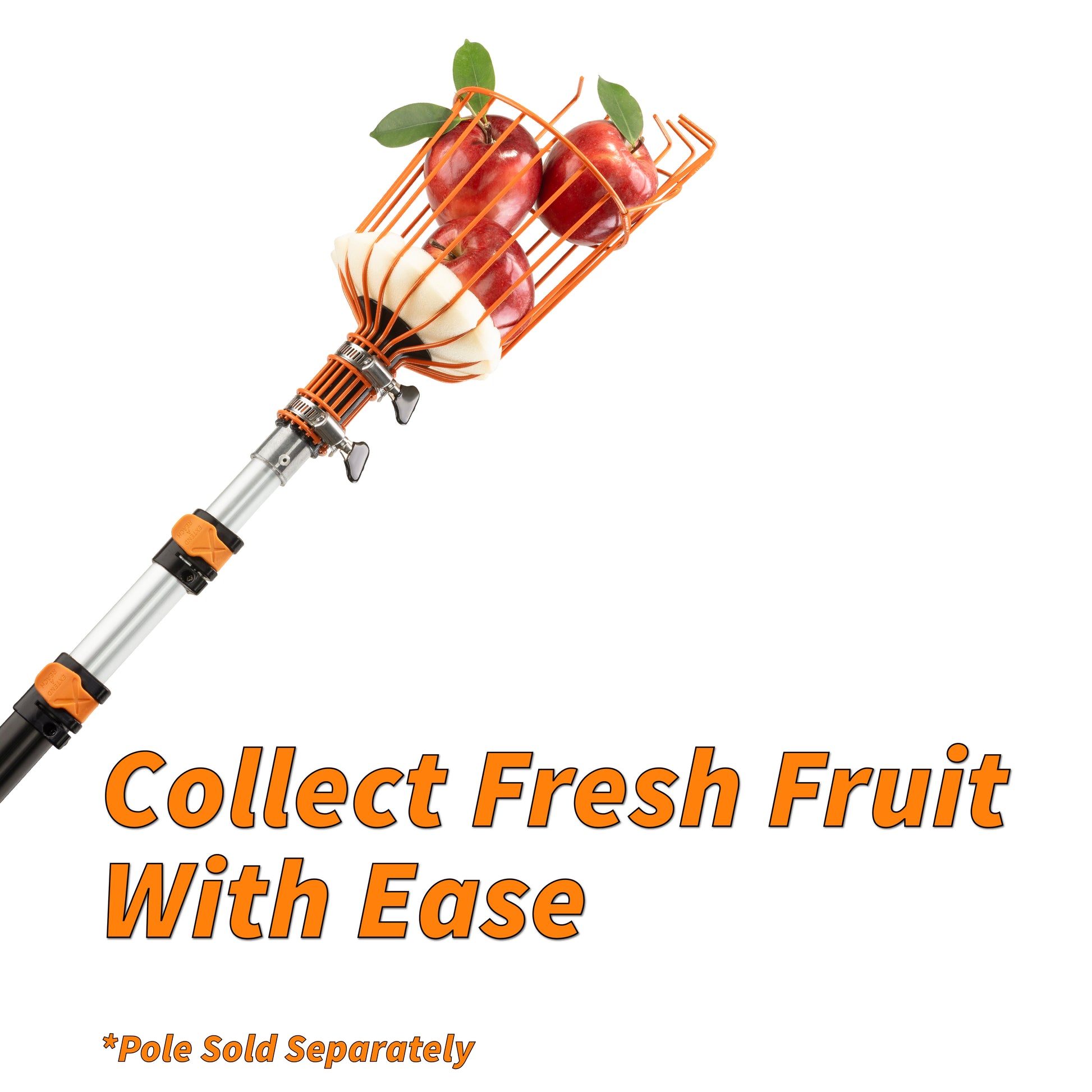 Extend-A-Reach telescopic fruit picker with an orange metal basket and soft foam pad securely holding red apples. Attached to a long extension pole with orange locking clips, it’s designed for easy, high-reach fruit harvesting. The image includes the text “Collect Fresh Fruit With Ease” and a note that the pole is sold separately