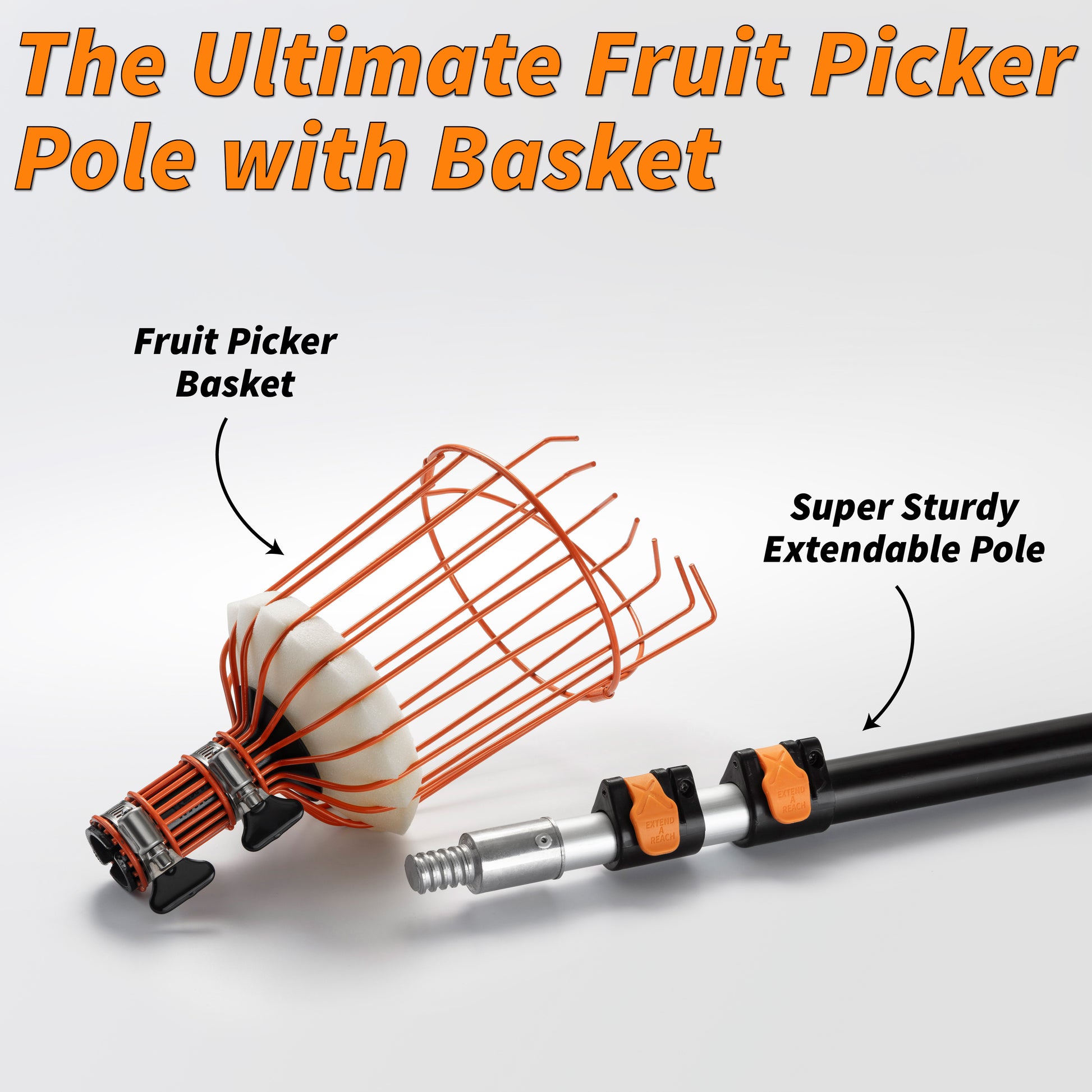 Extend-A-Reach high-reach telescopic apple picker pole with detachable metal basket and foam cushion, shown disassembled with sturdy orange grip locks. Text on image reads: ‘The Ultimate Fruit Picker Pole with Basket,’ with arrows labeling ‘Fruit Picker Basket’ and ‘Super Sturdy Extendable Pole.