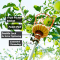 Close-up of Extend-A-Reach telescopic apple picker pole harvesting green apples, featuring a sturdy metal basket with foam pad, double lock for extra tightening, and extended threading for secure attachment. Text on image highlights: ‘Fruit Picker Basket,’ ‘Foam Pad,’ ‘Double Lock for Extra Tightening,’ and ‘Extended Threading