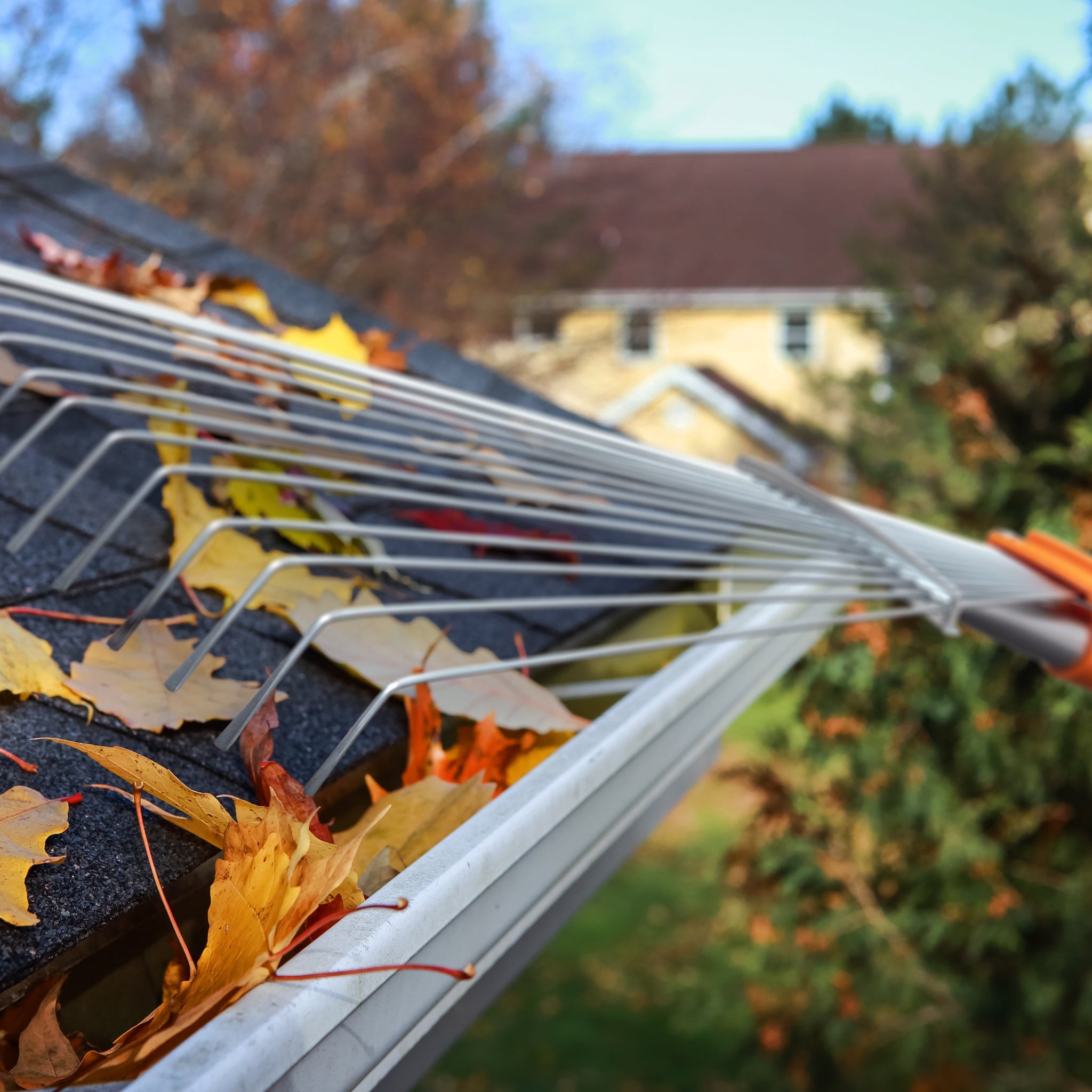Why You Should Clear Leaves From Your Roof Before Winter